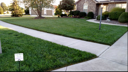 Lawn Care Services in Dayton Ohio
